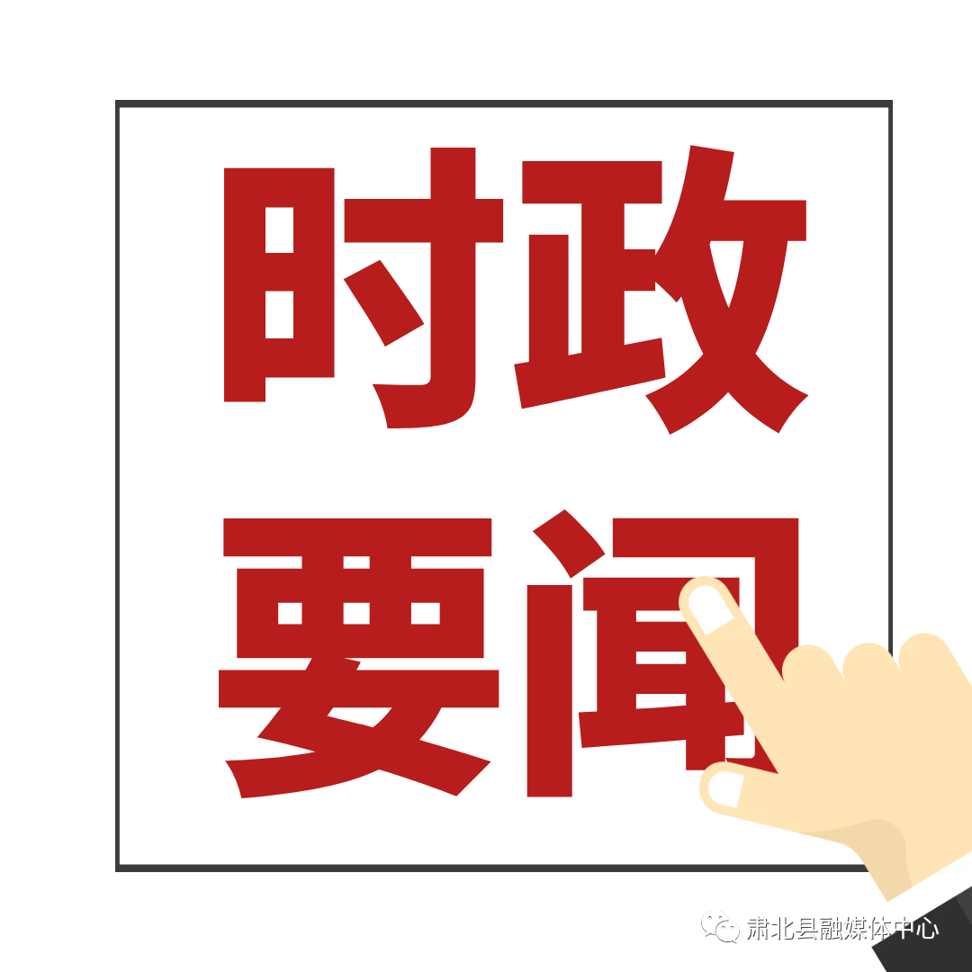 最近时政要闻概览，时政要闻概览，最新动态与政策解读