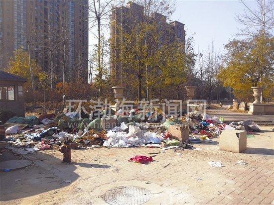 凤凰新闻网最新官方消息，全面解读新闻动态与行业趋势，凤凰新闻网最新官方消息，全面解读新闻动态与行业趋势综述