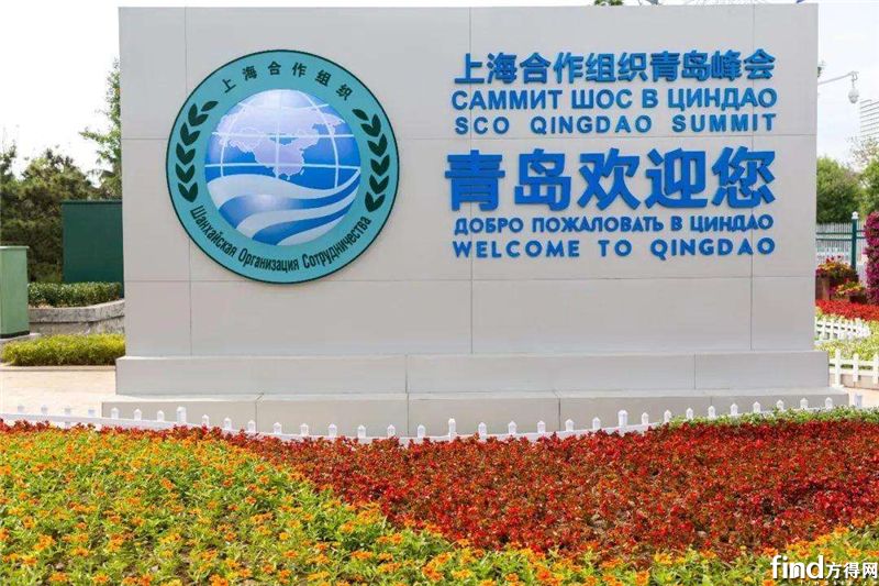 上合峰会青岛举办年份揭秘，历史时刻的永久记忆，上合峰会青岛举办年份回顾，历史时刻的永久记忆