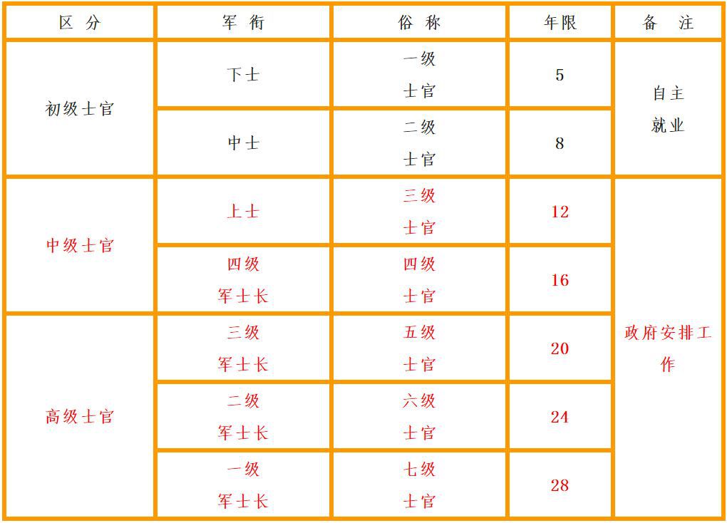 士官体制，深度解析与优化建议，士官体制深度解析与优化策略探讨
