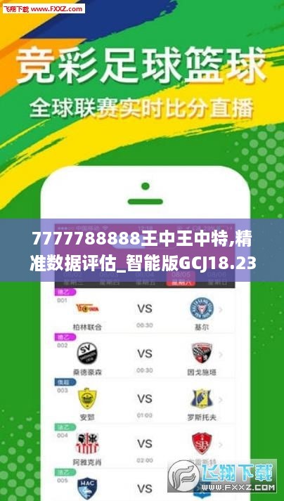 王中王348期指一生肖——深度解读与SEO优化，王中王348期生肖深度解读与SEO优化策略