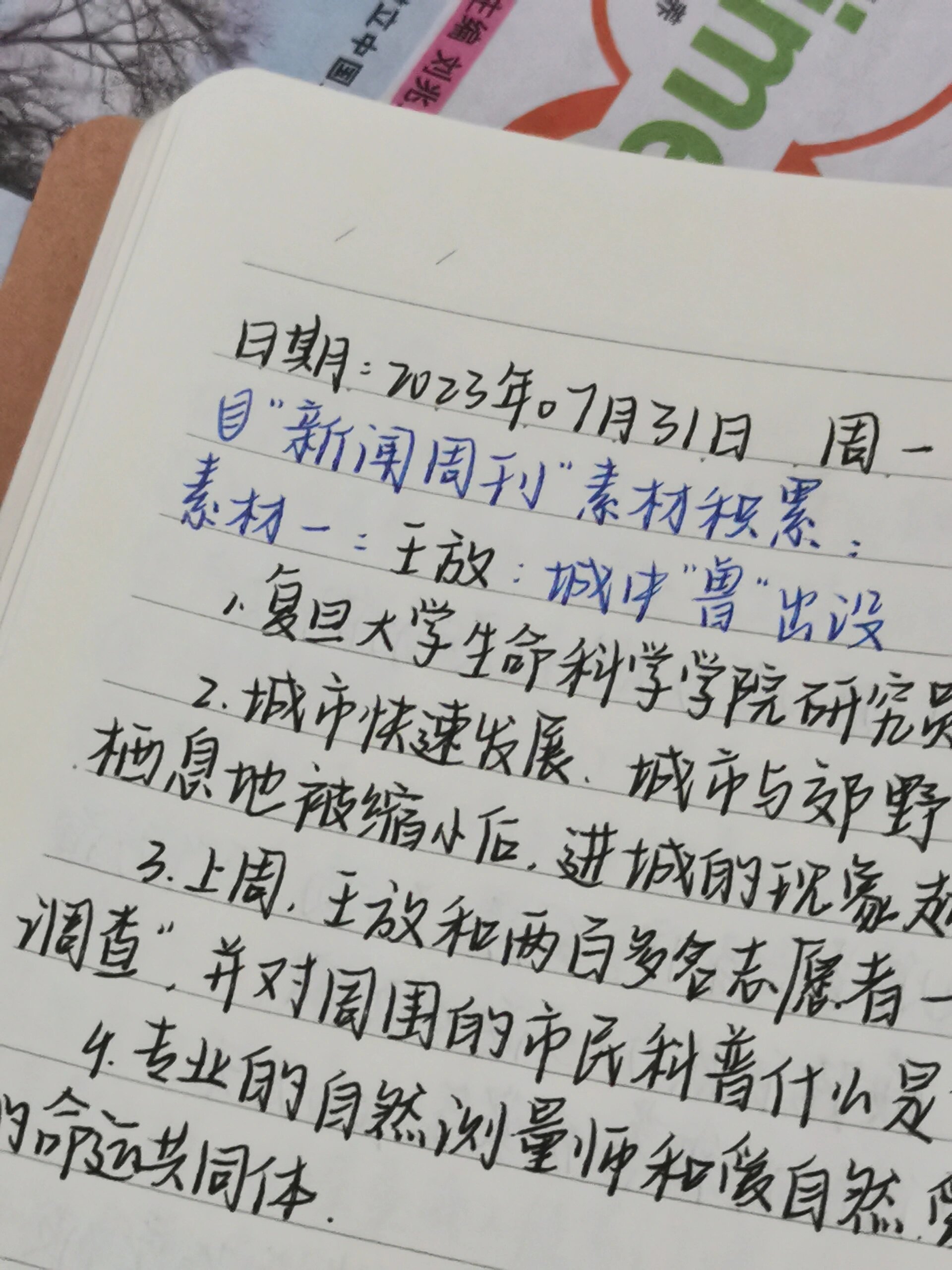 今日新闻摘抄十条（XXXX年XX月XX日），今日新闻热点摘要（XXXX年XX月XX日）