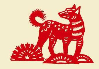 今天是什么生肖日——揭秘十二生肖的神秘魅力，揭秘十二生肖的神秘魅力，今日生肖运势详解