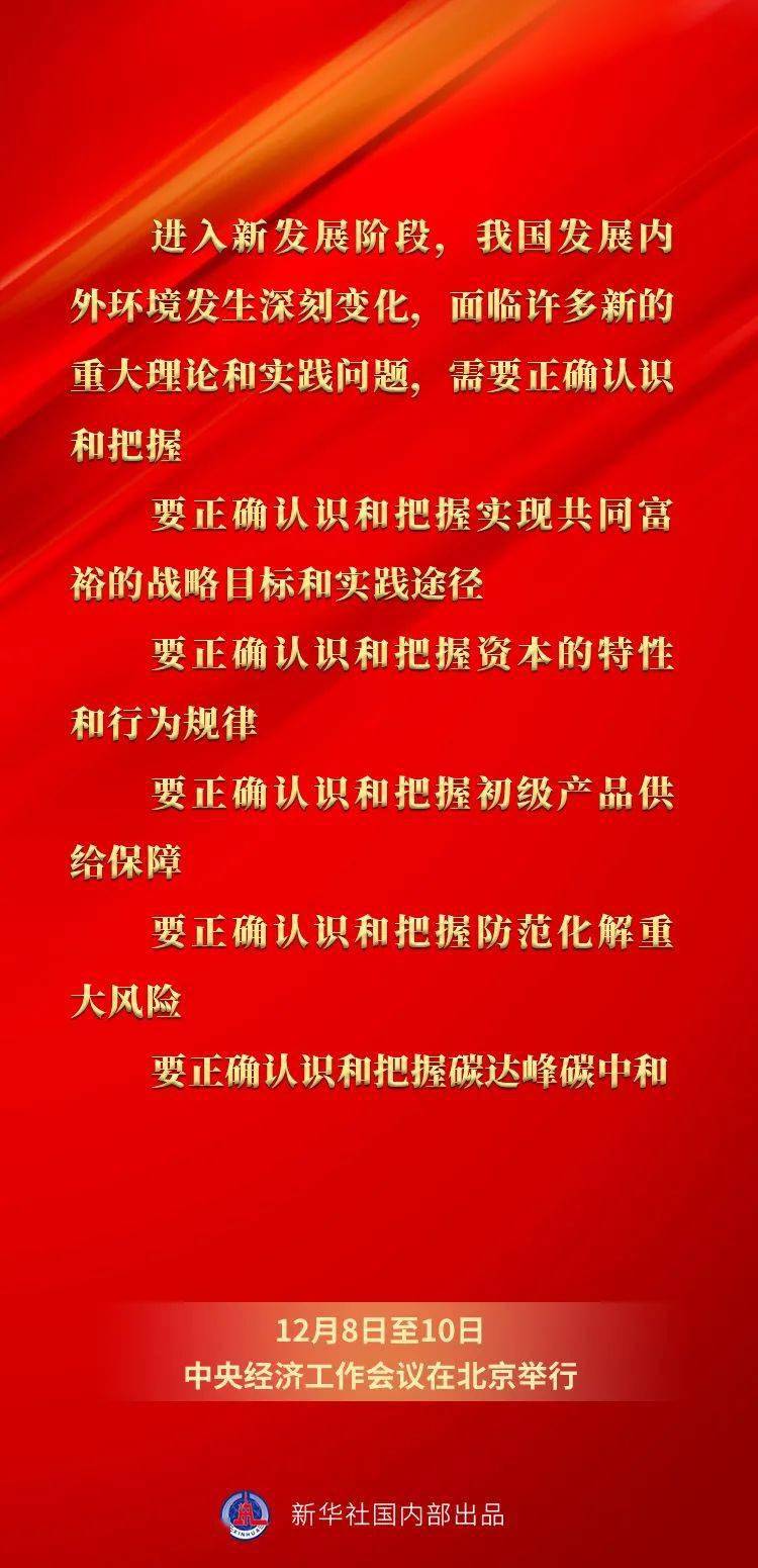 当头棒喝王中王，揭秘神秘生肖传奇，揭秘生肖传奇，王中王的当头棒喝