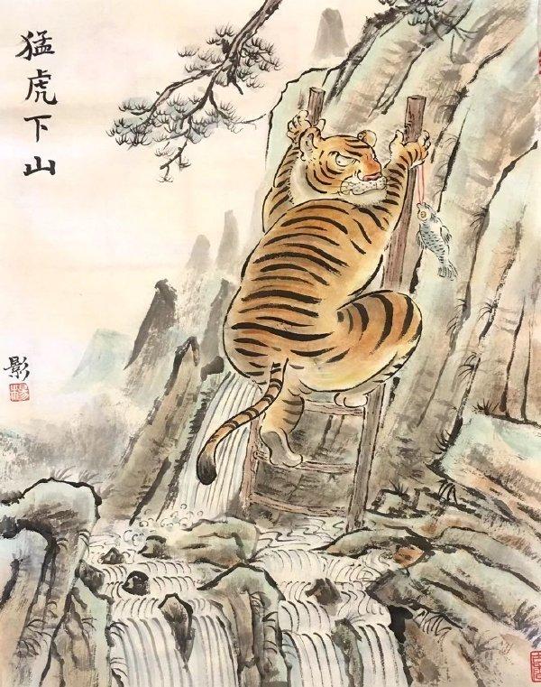 猛虎下山王中王，揭秘一生肖的神秘魅力，揭秘生肖之王——猛虎下山之神秘魅力