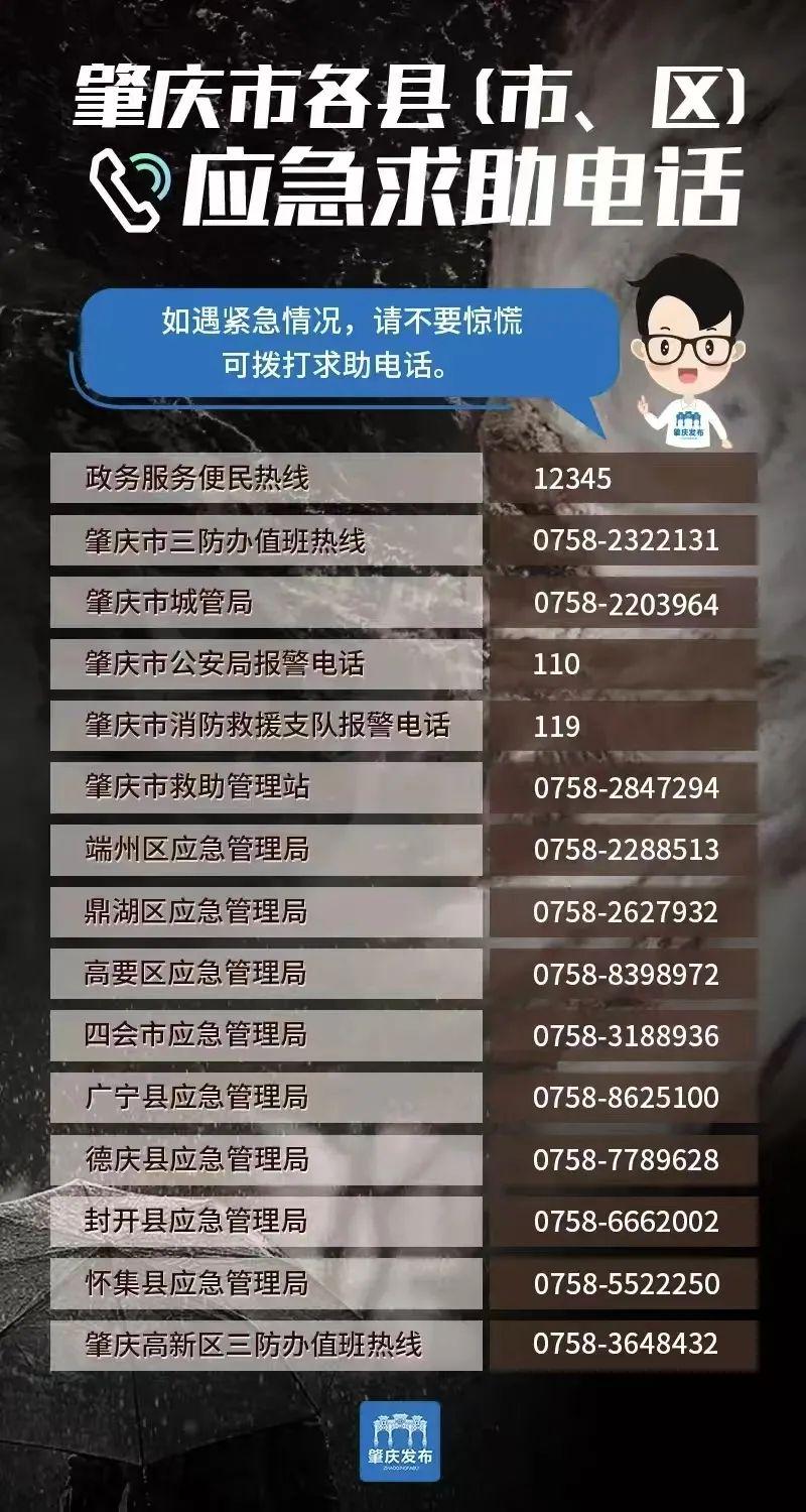 中央老百姓求助热线电话——为民服务的桥梁与纽带，中央老百姓求助热线电话，为民服务的桥梁纽带
