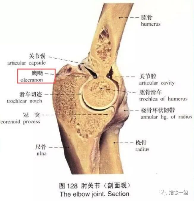 肘外翻20度，兵检通过的背后故事，兵检背后的故事，肘外翻20度如何成功通过检测？