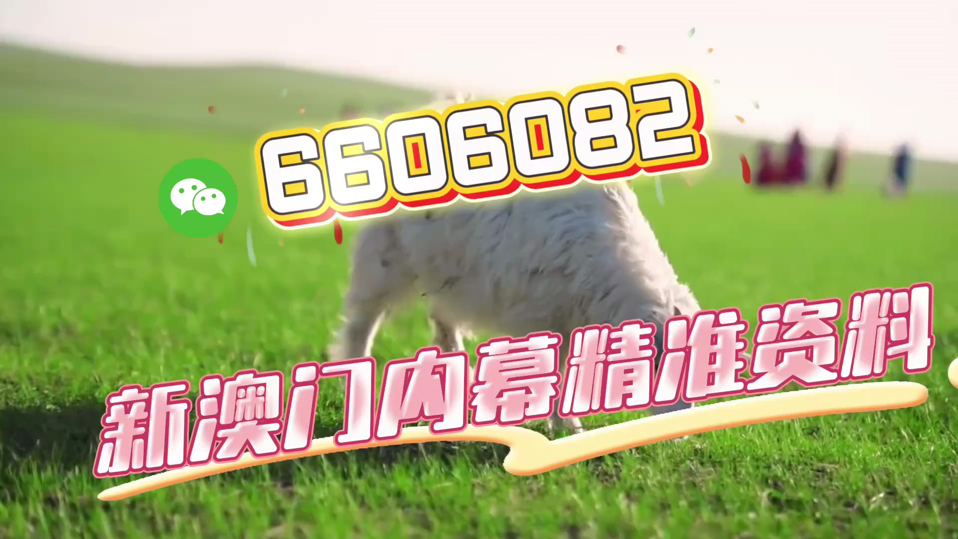 王中王一肖一特一中澳门，探索关键词背后的神秘面纱，王中王一肖一特一中澳门，揭开关键词背后的神秘面纱