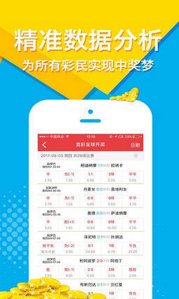 一肖一码，揭秘数字背后的神秘面纱，揭秘数字背后的神秘面纱，一肖一码探秘之旅