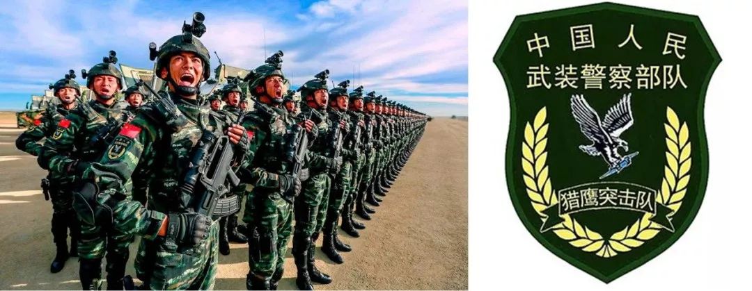 中国人民武装警察部队特种警察学院姜国营，一位英勇无畏的特种警察的卓越人生，姜国营，英勇特种警察的卓越人生之路