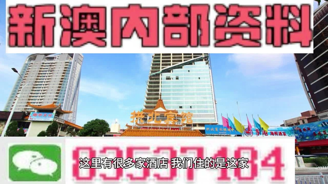 2025新澳正版资料精准解析与预测，2025新澳正版资料精准解析与趋势预测