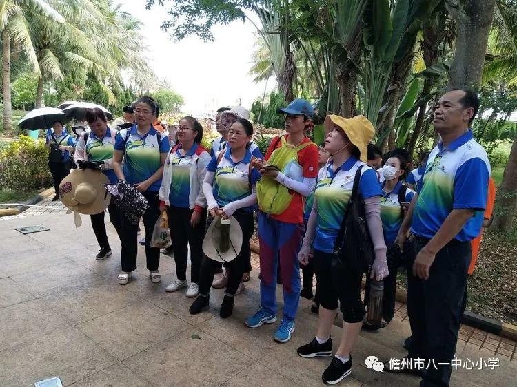 解放海南岛临高角登陆战役，历史回顾与重要性分析，解放海南岛临高角登陆战役，历史回顾与重要性探究